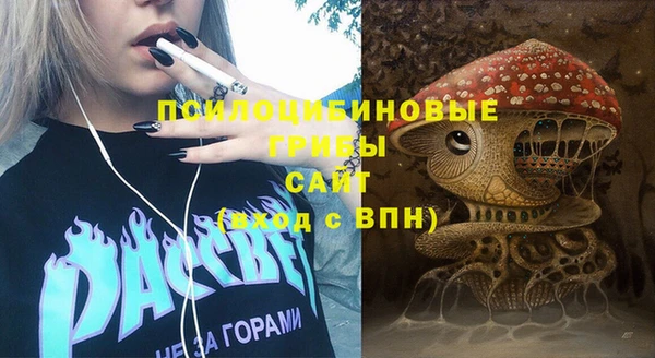 прущий лед Верея