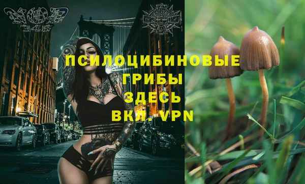 прущая мука Верхний Тагил