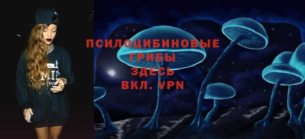 прущий лед Верея