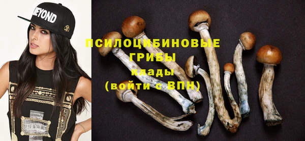прущий лед Верея