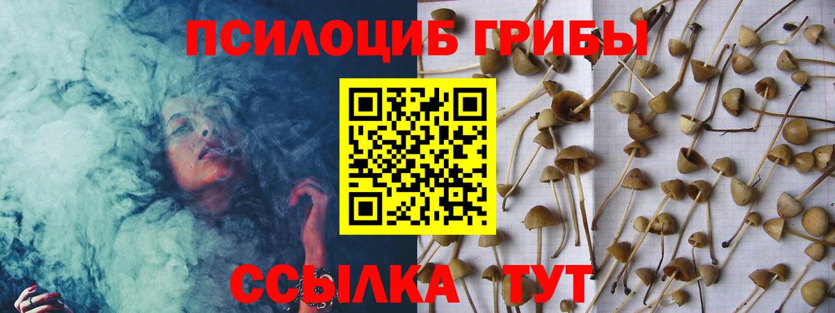 Галлюциногенные грибы Psilocybine cubensis  Вход с VPN  Медногорск 